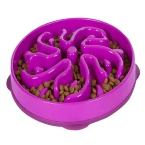 Outward Hound Fun Feeder - Dogs