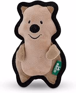 Beco Quinn the Quokka