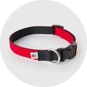 Funston Classic Dog Collar
