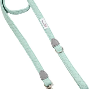 Doodlebone Dinky Dog Padded Lead