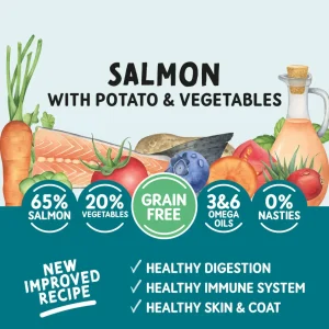Adult GF Salmon & Potato 400g
