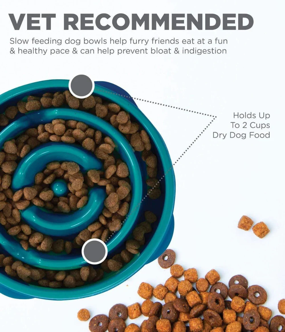 Outward Hound Fun Feeder Teal - Dogs - Bild 6
