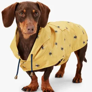 Joules Go Lightly Printed Water Resistant Packaway Dog Jacket