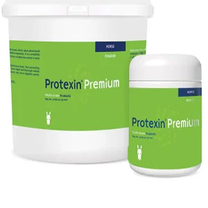 Kyron Protexin Premium Supplement for Horses
