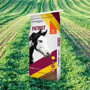 Masterfeeds Front Runner Patriot Texturized Sweet Feed 25kg