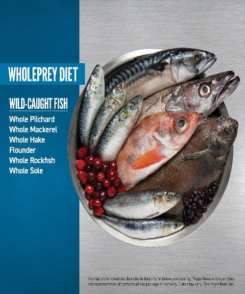 Orijen Six Fish Dog Food - Bild 5