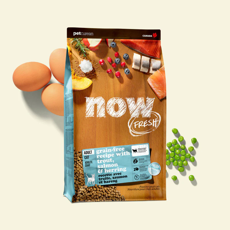 Now Fresh Fish Cat Food 3lb - Bild 2