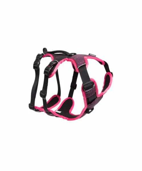 Rogz AirTech Adventure Dog Harness - Bild 5