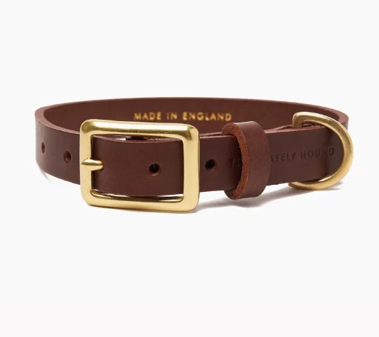 Stately Hound - Brass Riveted Leather Dog Collar - Bild 6