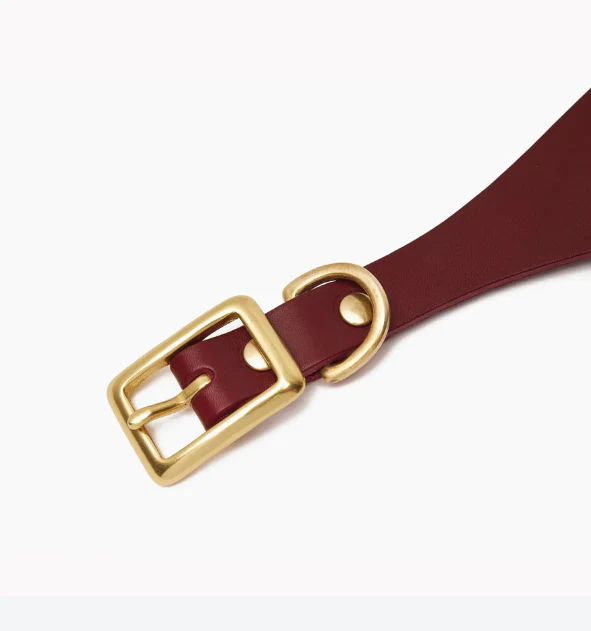 Stately Hound - Brass Riveted Leather Sighthound Collar - Bild 5