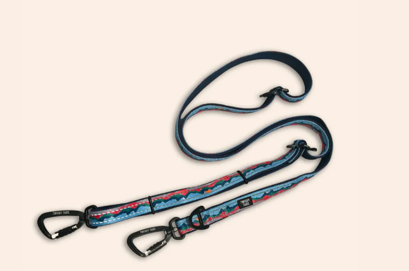 Twiggy Tags Multi-Way Lead