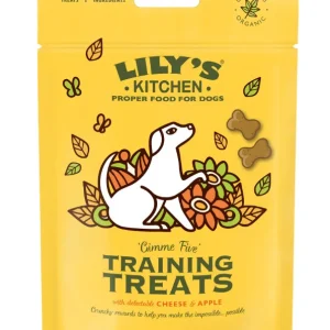 Lily's Kitchen Organic Training Dog Treats