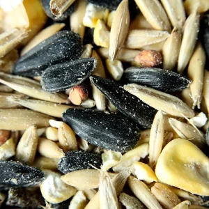 DEER FEED SCOTTS PICK