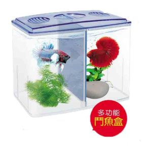 UP Betta Box D-651